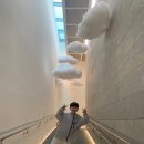 신라이사부독도참치 | 삼척 아이와 가볼만한곳 이사부 독도기념관