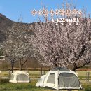 황산공원 캠핑장 일반사이트 이미지