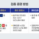 백신패스 적용대상과 예외 정리 이미지