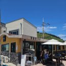 호돌이네 이미지