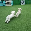 제제네멍치원(성내점) 이미지