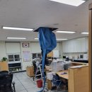 강서고등학교 이미지