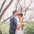 아뜰리에 7 이미지