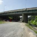 화산장어 이미지