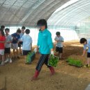 민들레체험학교