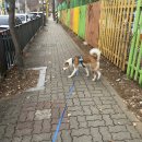 윤아네케이크
