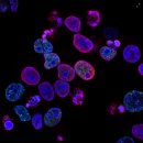 이화병원 이미지