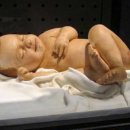 라니케이크 이미지