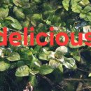 For delay dementia 1,142 Easy english 이미지