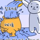 뉴헤어시티