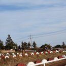 혜성 행정사사무소 이미지