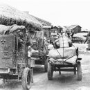 일진운수 이미지