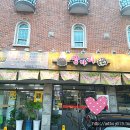 손가네숯불갈비 | [성북동 맛집]백종원의 3대천왕 쌍다리 돼지불백 먹어본 솔직후기