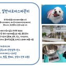 가이아펫 이미지