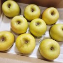 경북청과 | 해리네청과 경북 사과 시나노골드