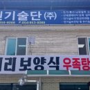 왕비소머리보양식 이미지