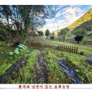 다소농장 이미지