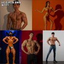 바디트랜스짐 정왕점 헬스 PT | 경기도 시흥시 헬스장 바디트랜스짐 정왕점 헬스PT 내용가격운영시간주차리뷰 알아보기
