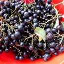 경담농장 이미지