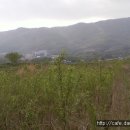 진군농장 이미지