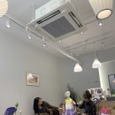 살롱드베리 | 진성한우곱창, 잠실 동래별장, 잠실 유다, 장안동 살롱드베리, 장안동 정원갈매기살,인도네시아 바탐선물