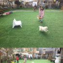 스토리 멍 이미지