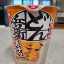 덴뿌라 | 닛신 돈베이 덴뿌라 우동 내돈내산 후기