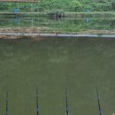 수신낚시터 이미지