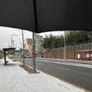 치요남치킨 수원오목천점 이미지