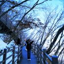 춘천 자전거(소양강처녀상 건너) 이미지