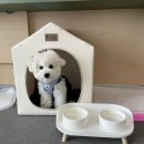 더글램 펜션 이미지