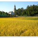 창덕여고운동장 이미지