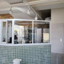 대백애견 이미지