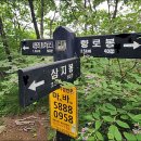 뒷골2로 Daum카페