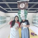 인천강아지분양 테디럽 이미지