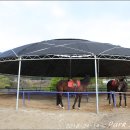 순천승마장 이미지