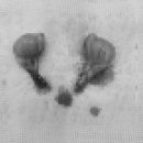 동주동물병원 이미지