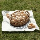 큰에덴농장 이미지