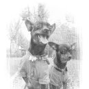 행복한깜시 이미지