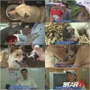 김영자농장 이미지