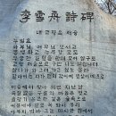 나무테크 이미지