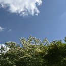 (주)더불어 | 마운자로 2.5mg 투약 첫주 후기