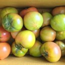 도림농장 이미지