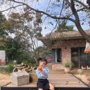 라루체365 이미지