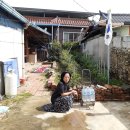 장 이용소 이미지