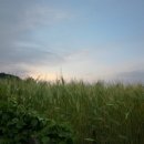 이삭민박 이미지