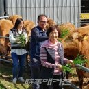 만희농장 이미지