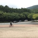 라우의자전거학교