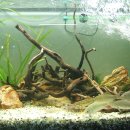 민물나라 이미지