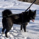 리버하우스 이미지